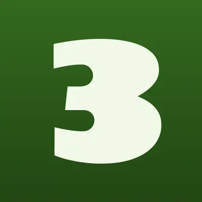 3 Шины